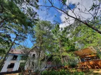 Chino Homestay Măng Đen - Villa tại Măng Đen Hotels near Săn mây tại cung đường Hà Huy Tập