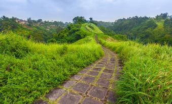 Blue Karma Dijiwa Ubud