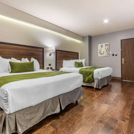 Quality Inn Chihuahua San Francisco