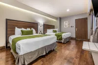 Quality Inn Chihuahua San Francisco