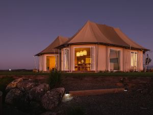 Wild Canvas - Pōhutukawa Tent