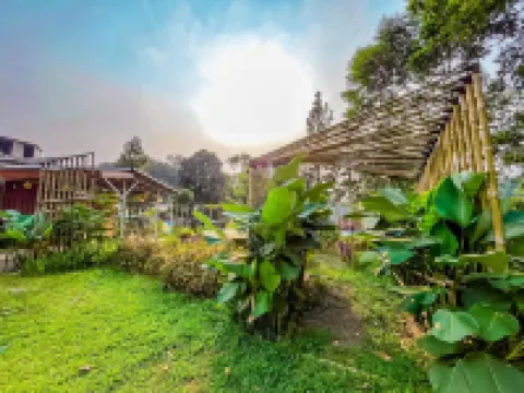 Kaliwatu Sentul Glamping & Campsite