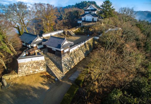 5. 다이와 로이넷 ..