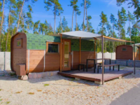 Kemp stribrny rybnik