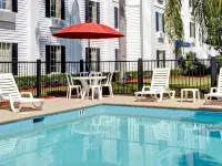 Ormond Beach Inn - Pools