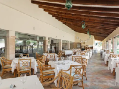 Cm Mallorca Palace - Only Adults Hotels in Sa Coma