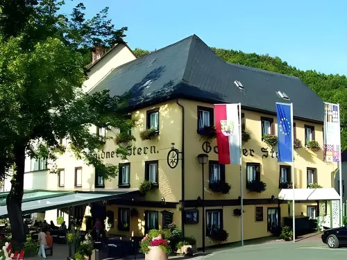 Akzent Hotel Goldner Stern - Kæledyr tilladt