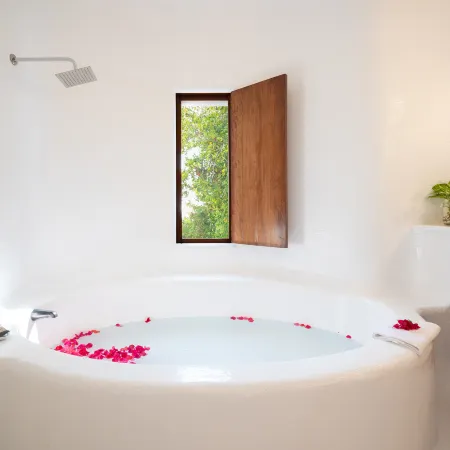 Private Villas in Careyes