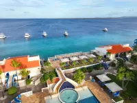 Divi Flamingo Beach Resort & Casino - Beach