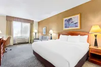 Comfort Inn & Suites I-25 Near Spaceport America Hotels in Truth or Consequences
