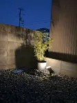 RinoHaku 03 formerly Oneself Regenerate House