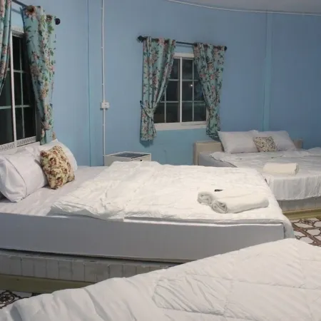 Demy Home