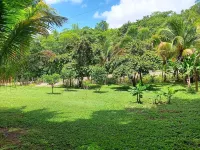 The Cabins at Monkey Fall Hotels in San Ignacio