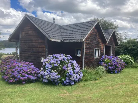 Antuquelen Lodge Cabañas Отели рядом с достопримечательностью «Колониальный немецкий музей»
