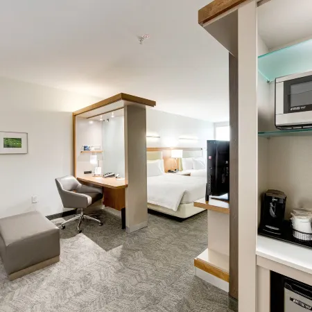 SpringHill Suites Houston the Woodlands