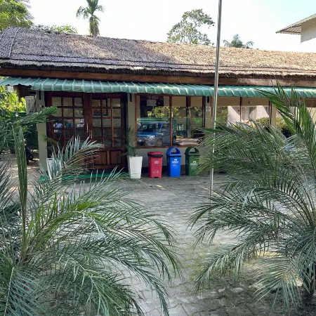 Jungleciti House