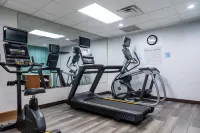 Holiday Inn Express & Suites MEMPHIS/GERMANTOWN by IHG - Gym
