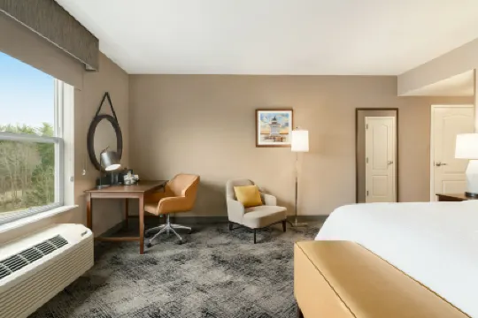 希爾頓歡朋套房酒店-埃克塞特