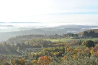 Cozy apartment in farmhouse 20 minutes from the center of Florence