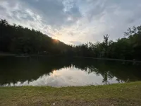 Cabin #2 Amalia - Custom Built A-Frame Artists Retreat - Pet and Kid Friendly