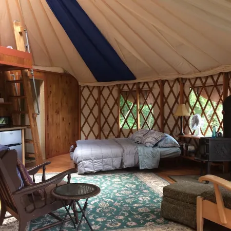 Secluded Yurt, Retreat on a Forest Farm