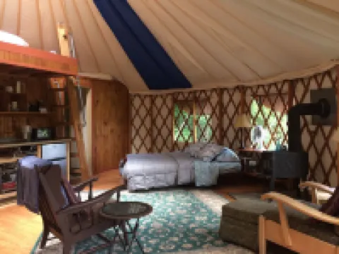 Secluded, Clean Yurt, Retreat on a Forest Farm