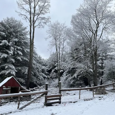 The Lehigh Cabin - Riverfront Escape- 1 mile private river