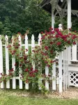 Historic property is a comfortable, peaceful, and safe  place to stay.