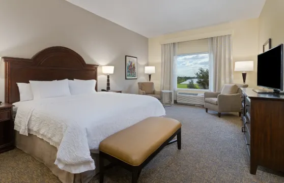 希爾頓歡朋套房酒店-惠靈頓