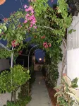 Apartment/ flat - Cala Gonone