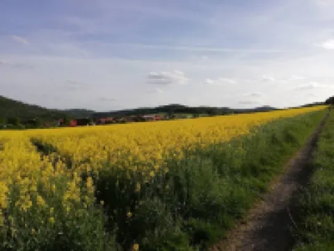 Welcome to the Kellerwald Edersee National Park