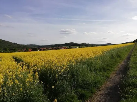 Herzlich Willkommen in der Erlebnisregion Edersee