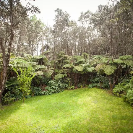 Lovely home with hot tub near Volcano National Park