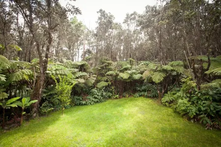 Lovely home with hot tub near Volcano National Park