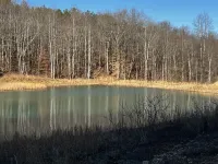 Cabin with hot tub, fire pit, and fishing pond.