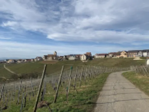 3 Room Apartment in 79576 Weil am Rhein - Ötlingen Near Basel up to 6 Persons