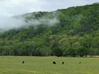 Historic Victorian Farmhouse near Great Smoky Mtns Nat Park