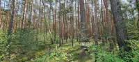NEW Stylish vacation apartment *time out*2-6 pers. at the edge of the forest near Potsdam/Berlin