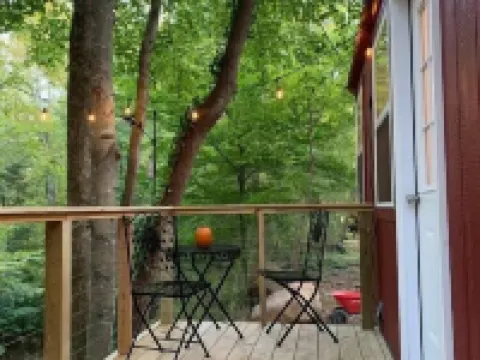 Critter Cottage at Coops Creek Cabins Hotels in Dunlap