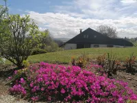 Vacation home dream location with panoramic views. No through traffic/private property Hotels in Pleystein