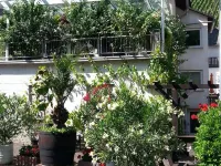 Hiking in the Middle Rhine Hotels in Bacharach