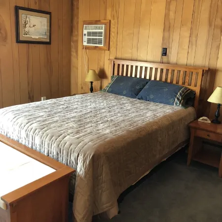The Ultimate up North Cabin Experience