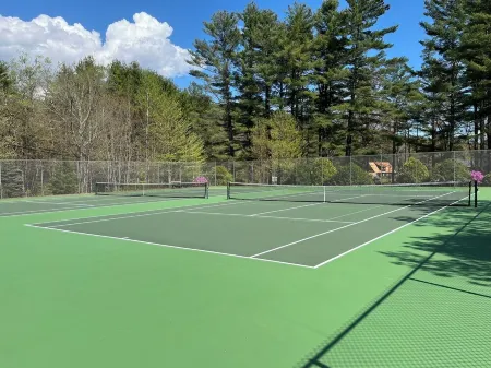 Cozy cabin nestled in the woods, 5 minutes to Sunapee Mountain & lake!