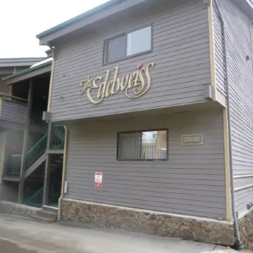 Ski In Ski Out Condo