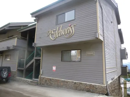 Ski In Ski Out Condo