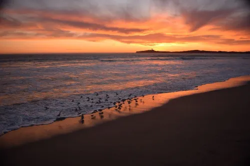 Stylish Seaside Guest House, Walking to Beach Hotels in El Granada