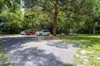 The White House - Remodeled quaint  home with spacious yard - 2.5 miles from UF