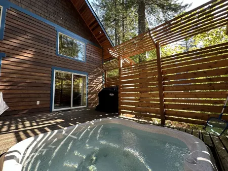Mt Baker Retreat - Hot Tub, BBQ, Fireplace