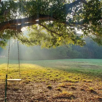 Quiet and cozy cottage hidden on the banks of Lake Norman