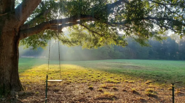 Quiet and cozy cottage hidden on the banks of Lake Norman